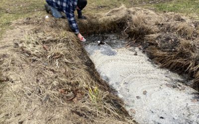 Ny provtagning i diket på Sjöängen